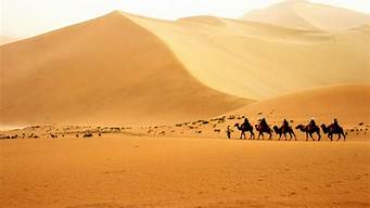 阿拉善沙漠旅游攻略_阿拉善沙漠旅游攻略图